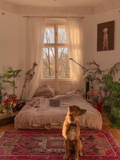 a dog sitting on a rug in front of a bed