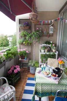 an outdoor patio with potted plants and food on the table in front of it