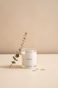 a white candle sitting on top of a table next to a small green leafy plant