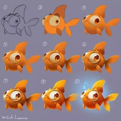 an image of different types of goldfish