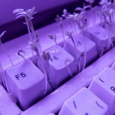 there are flowers growing out of the keys of a keyboard that says no more regets