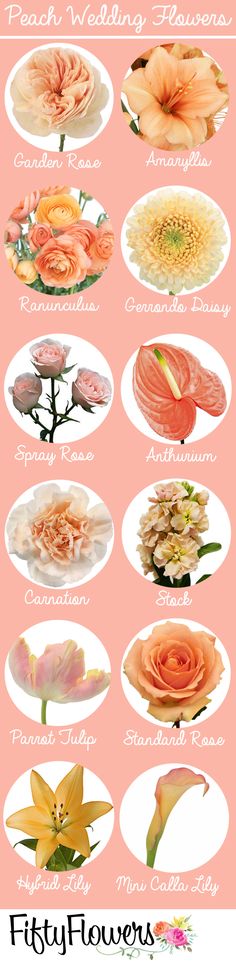 flowers that are in different colors and sizes on a pink background with the words, peach wedding