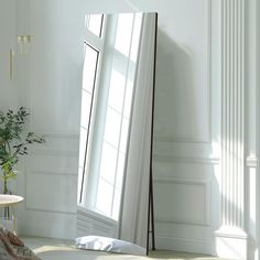 a large mirror sitting on top of a white floor next to a potted plant