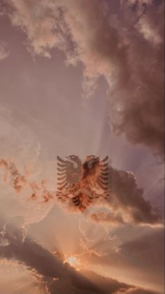 a bird flying in the sky with clouds and sun shining through it's wings