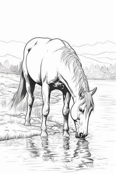 a white horse drinking water from a lake