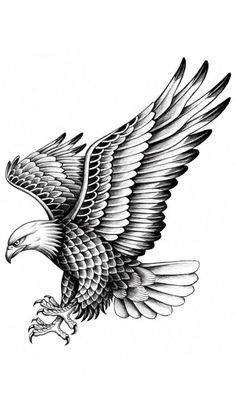 an eagle flying in the air with its wings spread out and it's talon extended