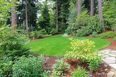 a lush green lawn surrounded by trees and bushes