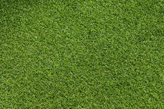 green grass texture for background or wallpaper - stock photo - images and clippings