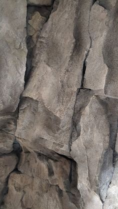 an animal that is laying down on some rocks