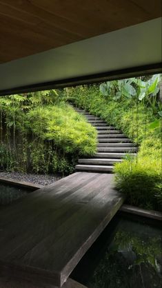 the stairs lead up to the water feature in this modern garden design, which is surrounded by lush vegetation