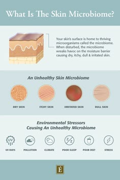 Skin Facts, Eminence Organic Skin Care, Skin Advice, Skin Aesthetics, Skincare Inspiration, Good Skin Tips, Dry Itchy Skin, Aesthetic Medicine, Skin Science