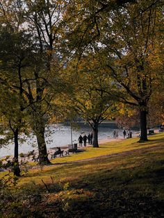 many people are walking around in the park by the water and trees with yellow leaves on them