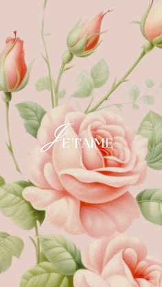 a pink rose with green leaves on a light pink background that says et tamme