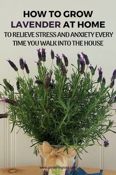 a vase filled with purple flowers sitting on top of a table next to a sign