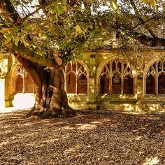 an old building is surrounded by trees and leaves