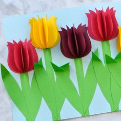 three paper flowers on a blue background with the words tulips in red, yellow and green