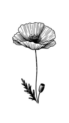 a black and white drawing of a flower