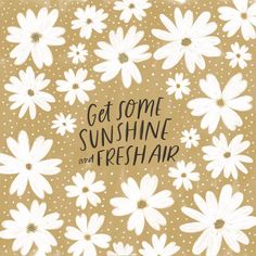 the words get some sunshine and fresh air written in black ink on a brown background with white daisies