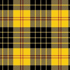 a black and yellow plaid pattern that is very similar to the tartan fabric in scotland