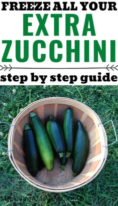 cucumbers in a basket on the grass with text overlay that reads freeze all your extra zucchini step by step guide