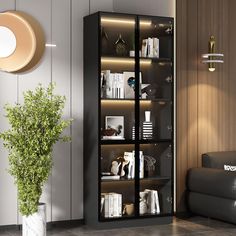 a living room with a black book case and a plant in it's corner