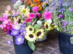 there are many different types of flowers in the vases on the ground, all together