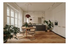 an apartment with wood floors and white walls, plants on the table in the foreground