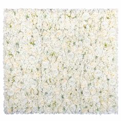 an image of white flowers on the ground