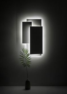 a plant in a dark room with light coming through the wall and lighting up the walls