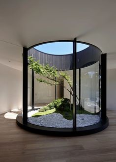 a circular glass room with rocks and plants in the center, surrounded by wood flooring