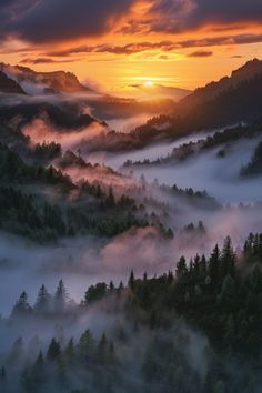 the sun is setting over some foggy mountains and trees in the foreground, with low lying clouds