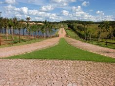 an empty dirt road with trees and water in the background