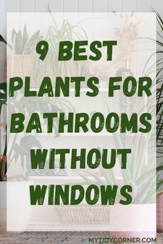 Plants for Windowless Bathrooms Plant Decor Bathroom Small Spaces, Bathroom Decor With No Windows, Plants For Your Bathroom, Flowers For The Bathroom, Plants In Restroom, Indoor Plant Container Ideas, Bathroom Plants No Window