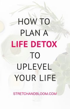 Looking to level up? You might need to detox your life first. Read the post to learn how a detox can help you level up. Detox Life, Social Contract, Detox Plan, Intentional Living, Health Articles, Professional Women, Kids Health, Stressed Out, Band Workout