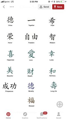 an image of chinese symbols and their meanings in various languages, including the word's characters