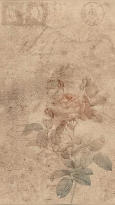 an old paper with a rose on it