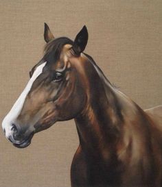 a painting of a brown and white horse on a tan background, with the head turned to the left