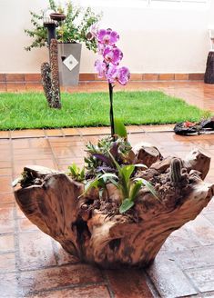 a planter made out of a tree stump with purple flowers in the center and green grass behind it