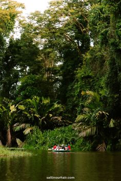 two people in a small boat on a river surrounded by trees and vegetation, with the sky above them