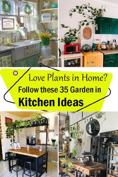 the kitchen is filled with lots of plants