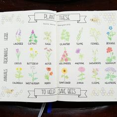 an open book with flowers and plants on it