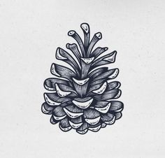 an ink drawing of a pine cone with leaves on the top and bottom, in blue