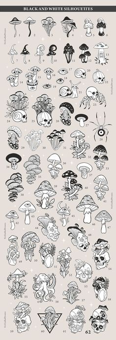 an illustrated poster showing different types of mushrooms