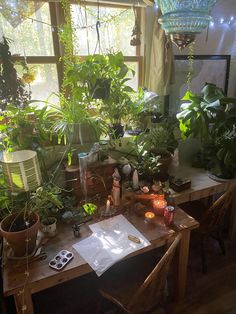 a wooden table topped with lots of plants next to a window filled with light bulbs