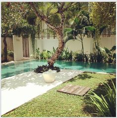 a large white bowl sitting on top of a lush green field next to a swimming pool