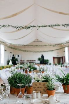 the tables are set with plants and wine glasses