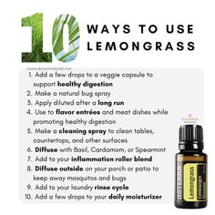 doTERRA Lemongrass essential oil 15ml - Desert Naturals - doTERRA ... Lemongrass Essential Oil Benefits, Doterra Lemongrass, Fall Diffuser Blends, Natural Bug Spray, Essential Oils Herbs, Lemongrass Oil, Sugar Scrub Diy, Essential Oil Benefits, Diy Scrub