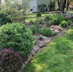 a garden with lots of green grass and flowers