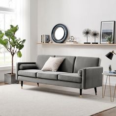 a living room filled with furniture and a potted plant