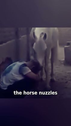 a man is petting a horse in an enclosed area with the words, the horse nuzzles